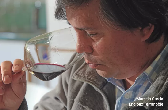 Master Winemaker del Carmenere MARCELO GARCÍA DE ANDRACA