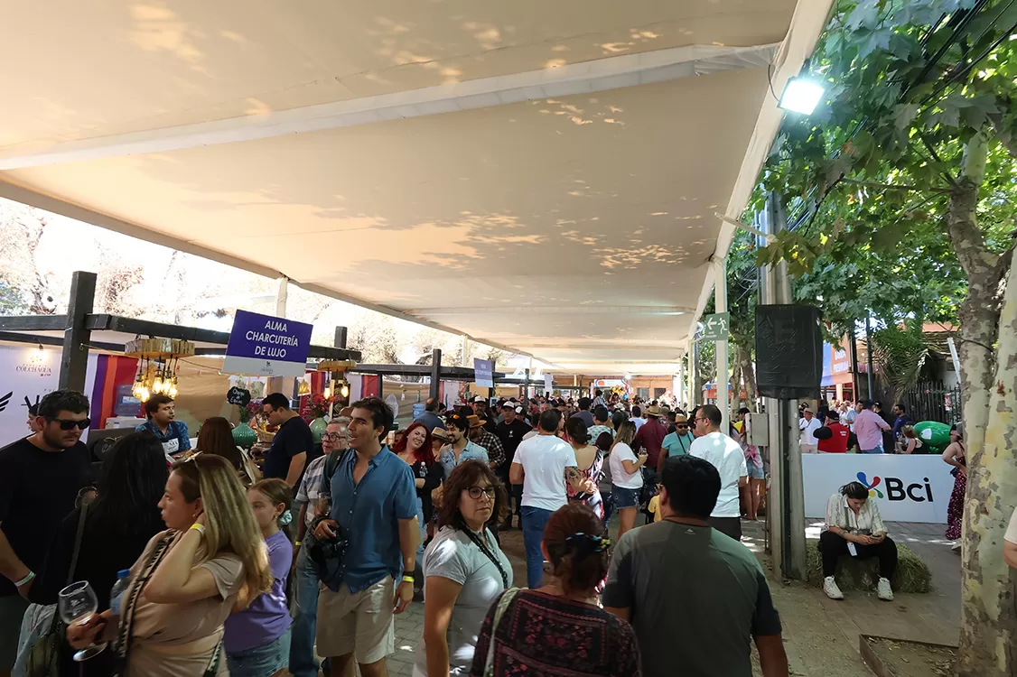 Santa Cruz vive la 25ª Fiesta de la Vendimia del Valle de Colchagua