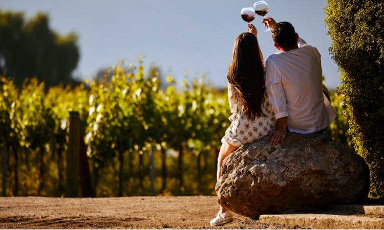 En 10 años el enoturismo en Chile creció 133%: de 94 a 219 viñas abiertas al público