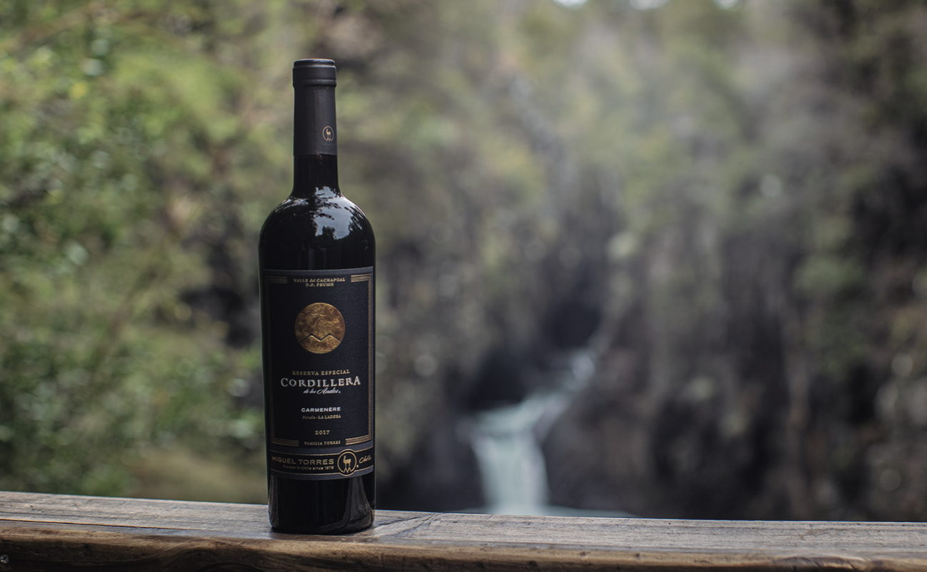 Miguel Torres Chile: vinos que conquistan paladares asiáticos