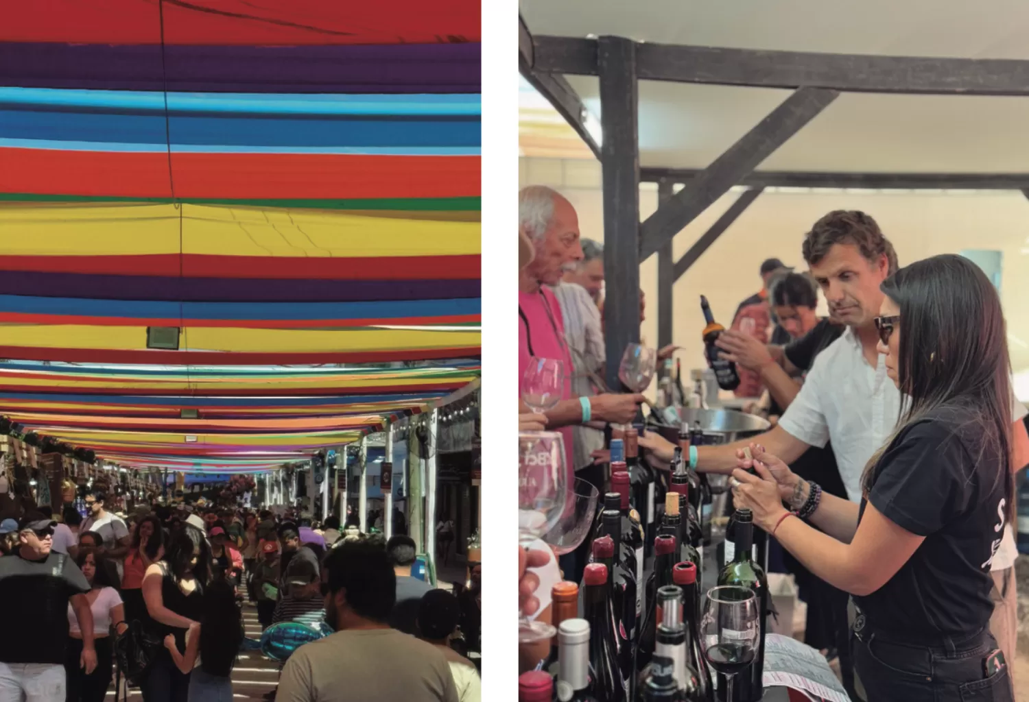 Vendimia Colchagua 2025: BROCHE DE ORO A 25 AÑOS DE TRADICIÓN