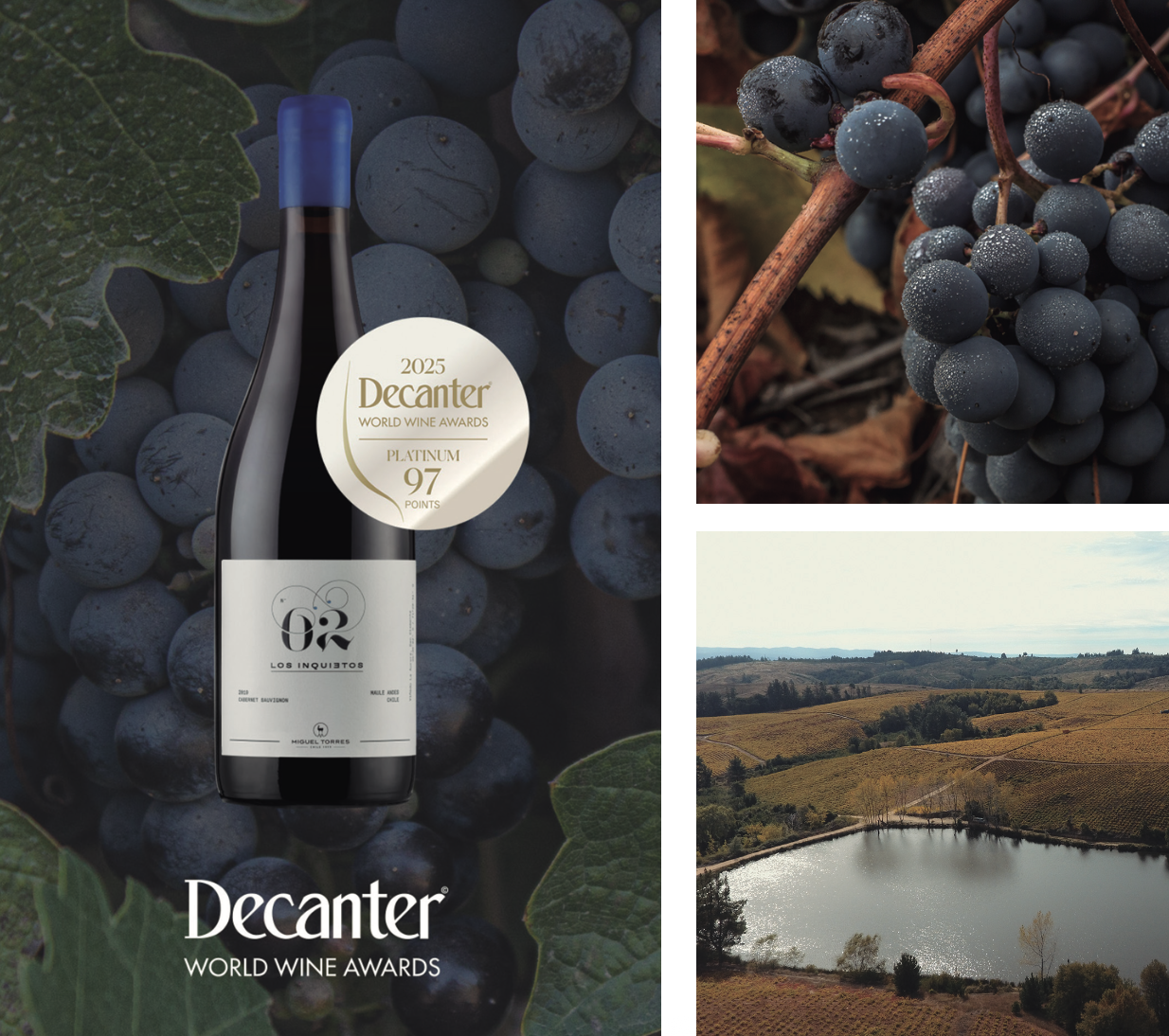 Miguel Torres Chile brilla en Decanter World Wine Awards 2025