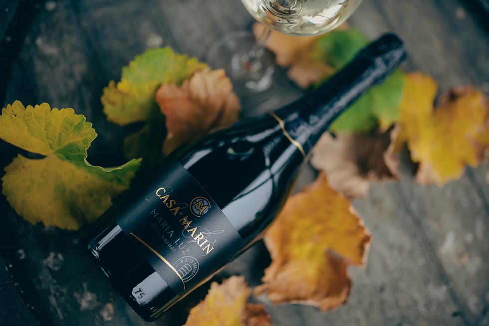 María Luz Marín: de “la loca del vino” a líder mundial del Sauvignon Blanc