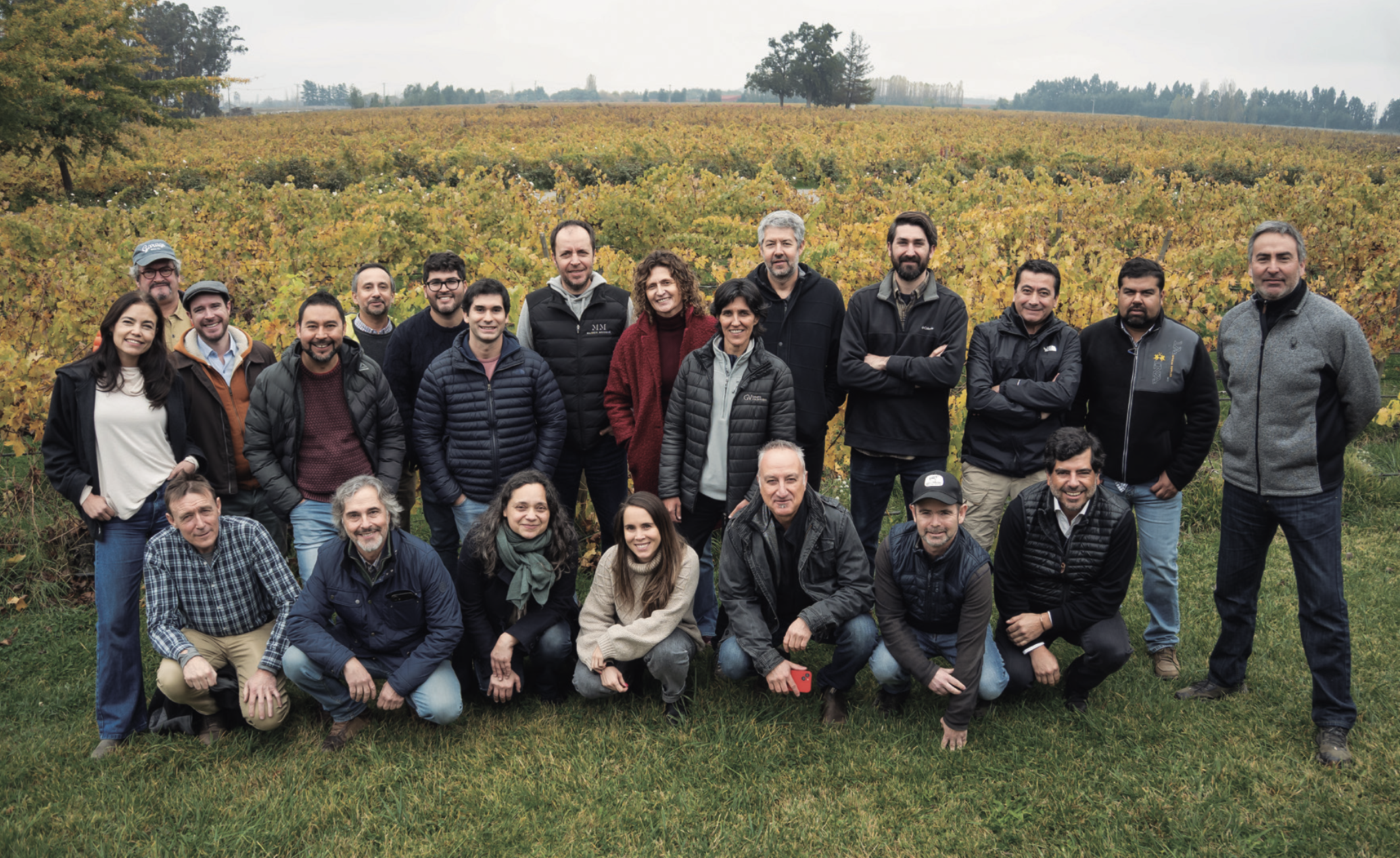 El Carignan del Maule: historia viva, territorio que habla