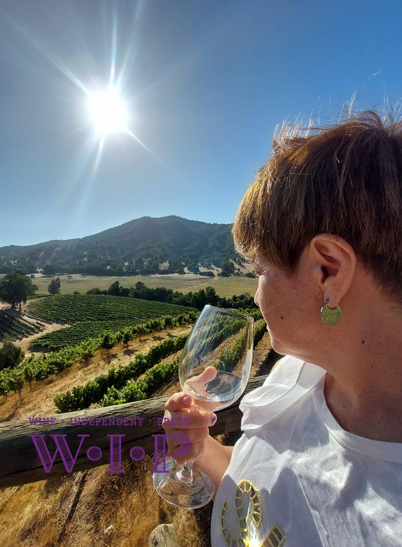 En el Día de los Patrimonios WiP.cl anunció ganadores de su 4to concurso de Fotografía Vendimia.