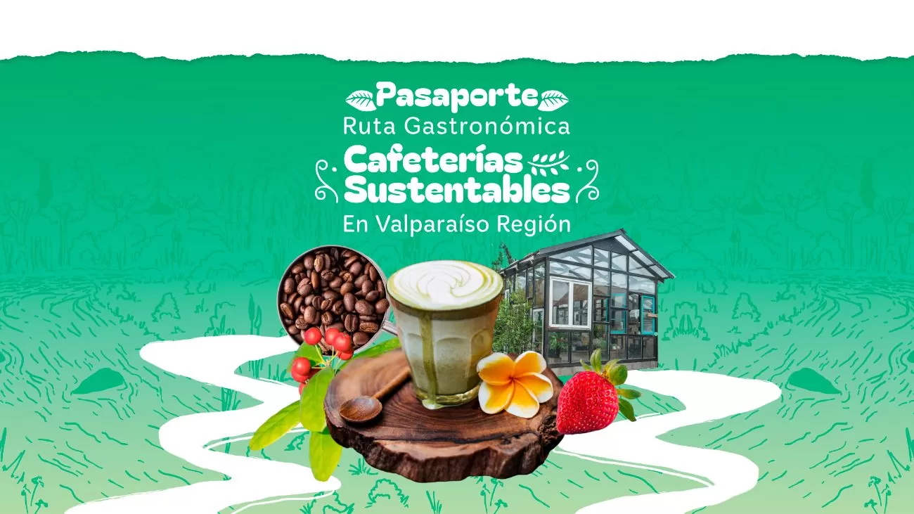 Ruta de Cafeterías sustentables en Valparaíso: identidad, oficio y sustentabilidad en cada taza