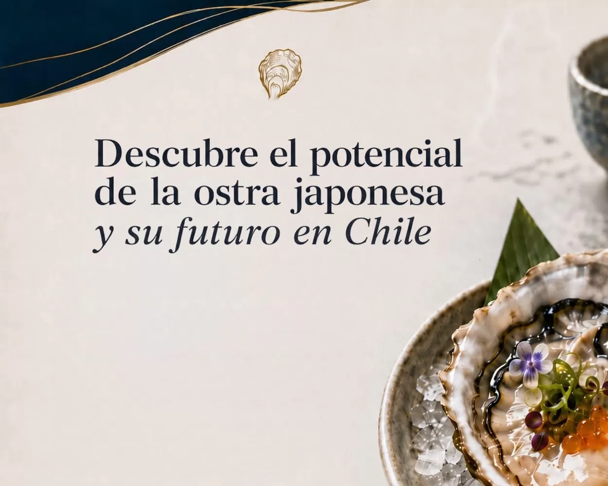 La ostra japonesa busca reactivar la ostricultura chilena: ICO y Achiga presentan el PTEC Corfo en Santiago