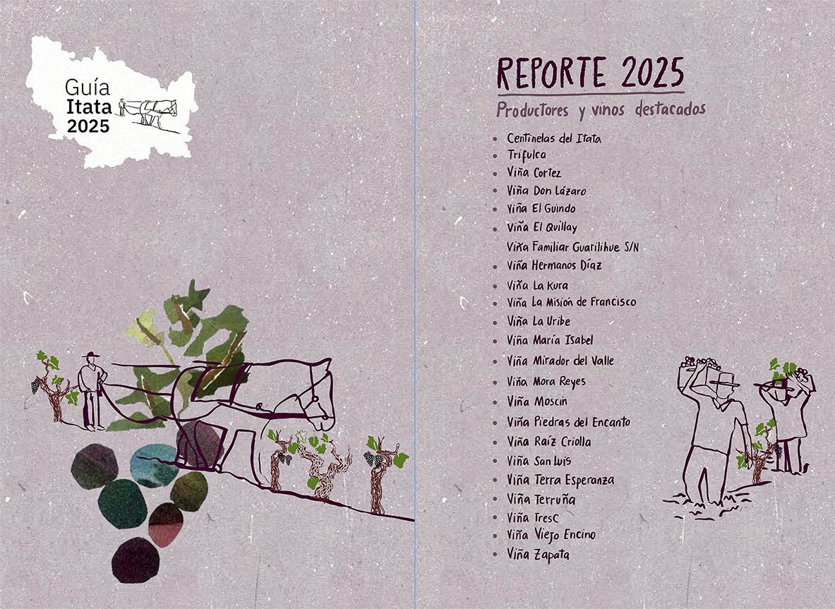 Guía del Itata 2025: la memoria campesina que hoy se celebra en cada copa