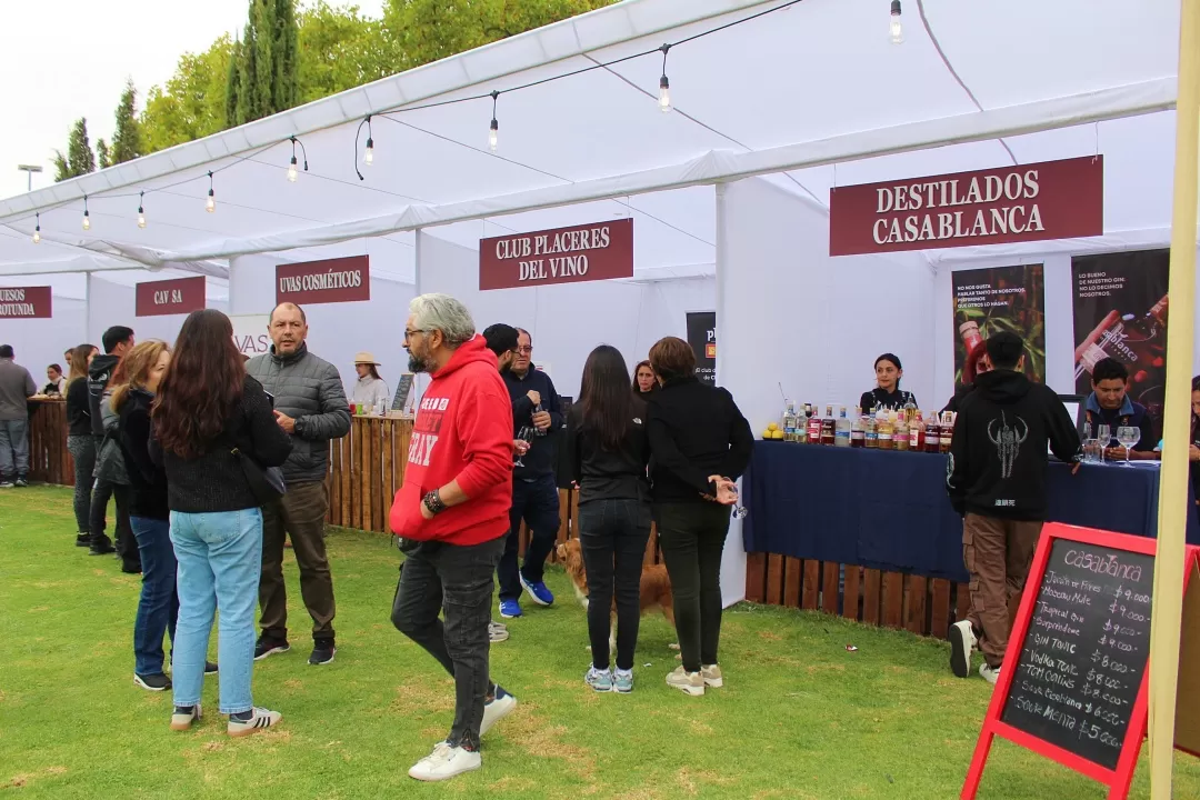 Casablanca brinda por la tradición en su Fiesta de la Vendimia 2025