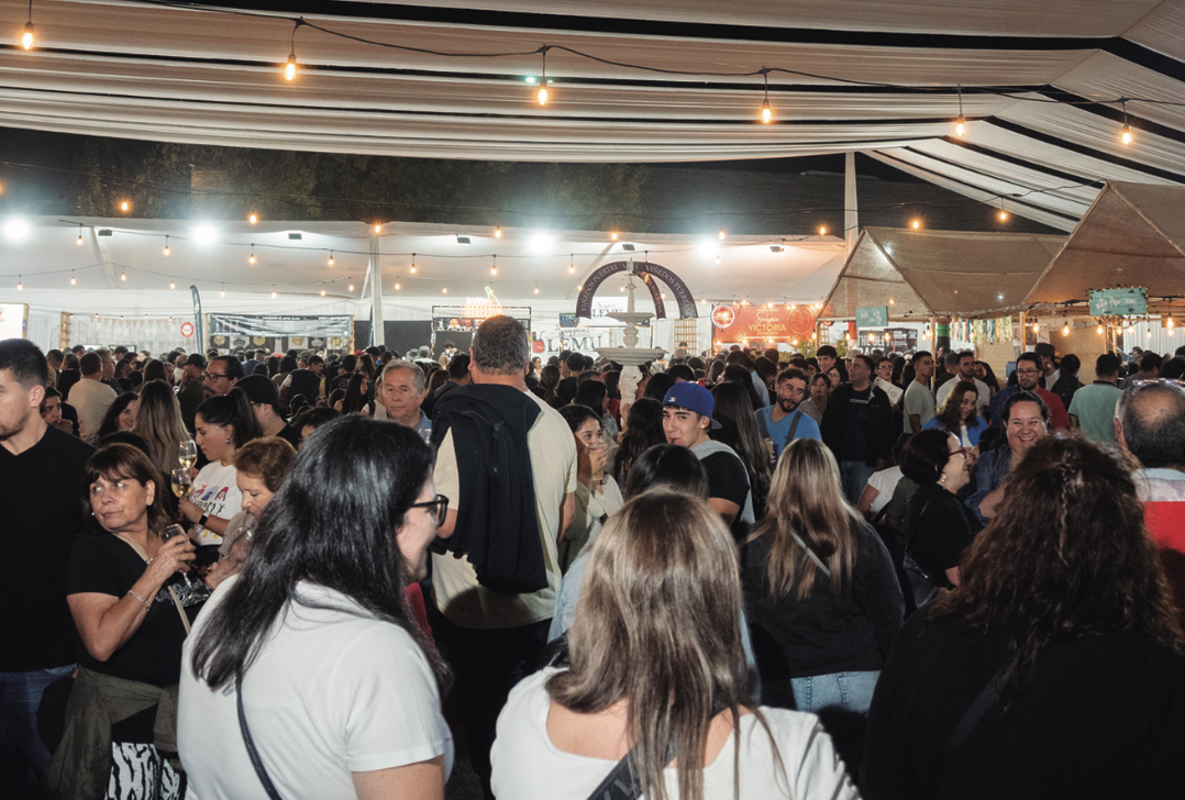 Curicó brinda con orgullo: la Fiesta de la Vendimia 2025 celebró su tradición en el Parque La Granja