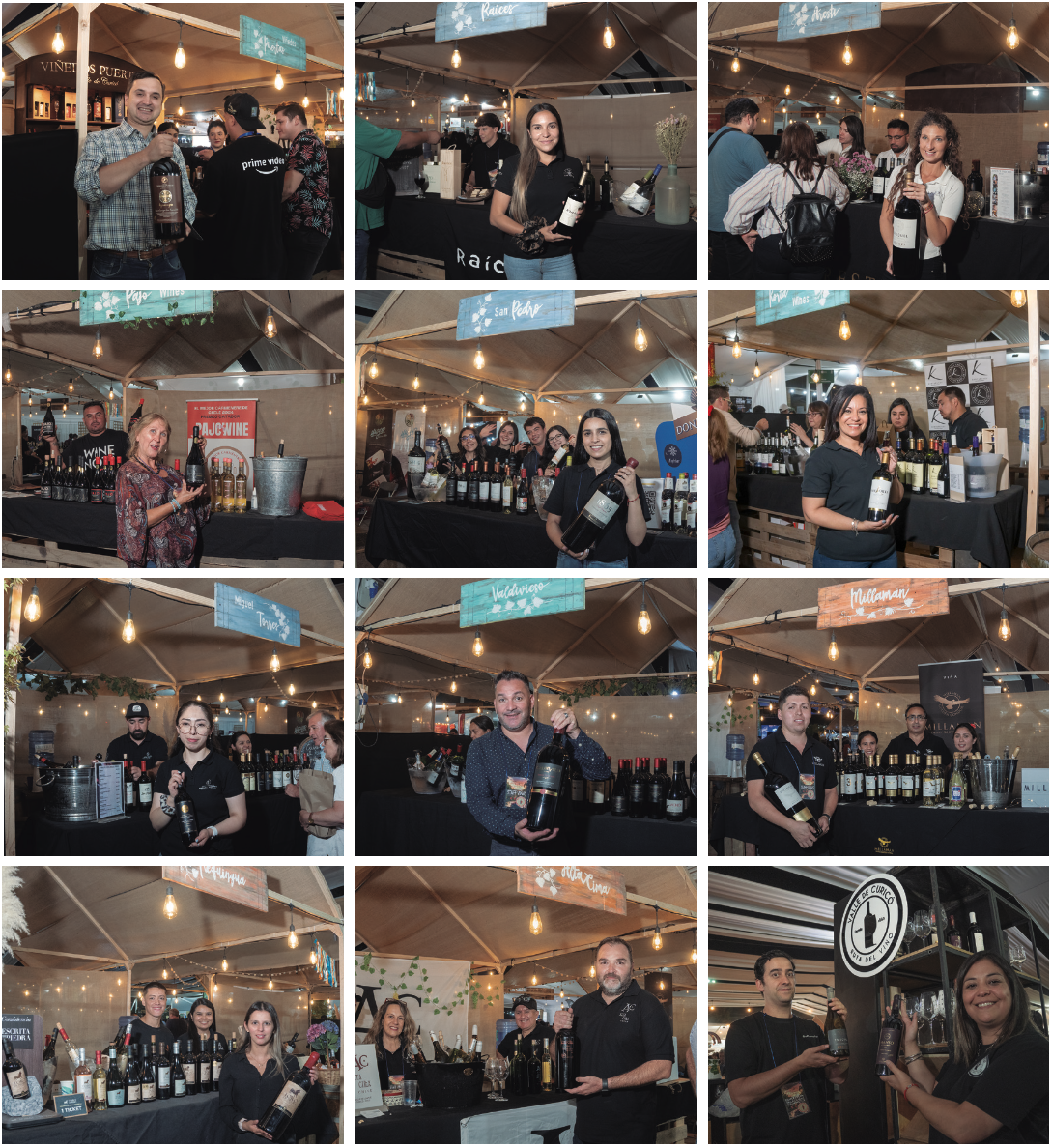 Curicó brinda con orgullo: la Fiesta de la Vendimia 2025 celebró su tradición en el Parque La Granja