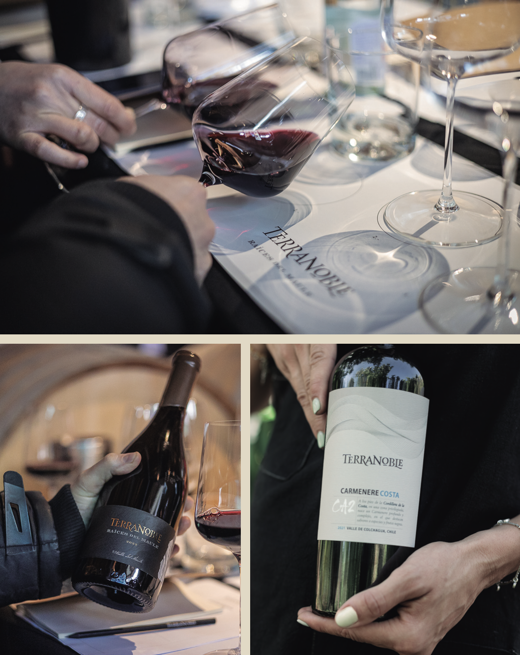 TerraNoble abre sus puertas: vino, paisaje y experiencias en el Maule