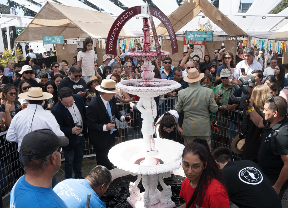 Curicó brinda con orgullo: la Fiesta de la Vendimia 2025 celebró su tradición en el Parque La Granja