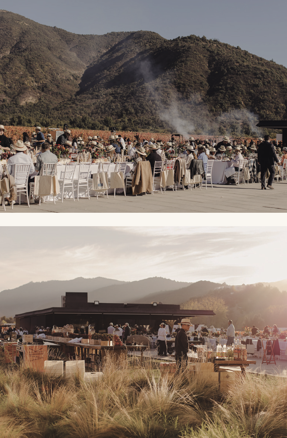 VIK inaugura una nueva era para la vendimia chilena