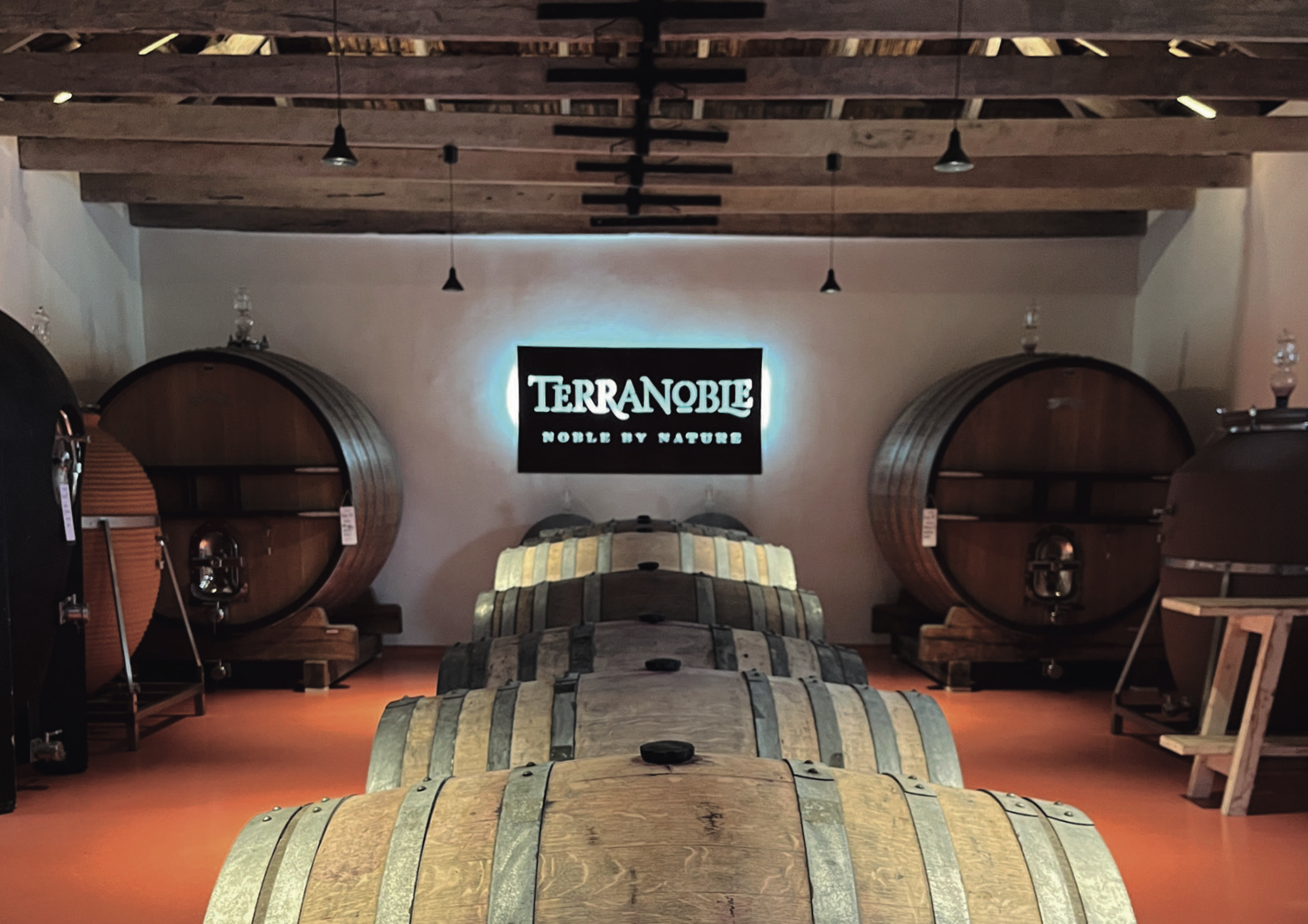 TerraNoble abre sus puertas: vino, paisaje y experiencias en el Maule