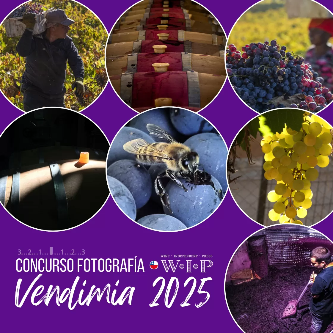 Concurso de Fotografía WiP Vendimia 2025  Todo lo que debes saber para participar y capturar la esencia del vino chileno.