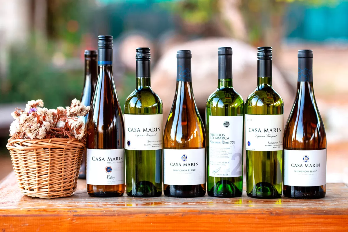 Casa Marín celebra su Fiesta de la Vendimia N°18 en Lo Abarca