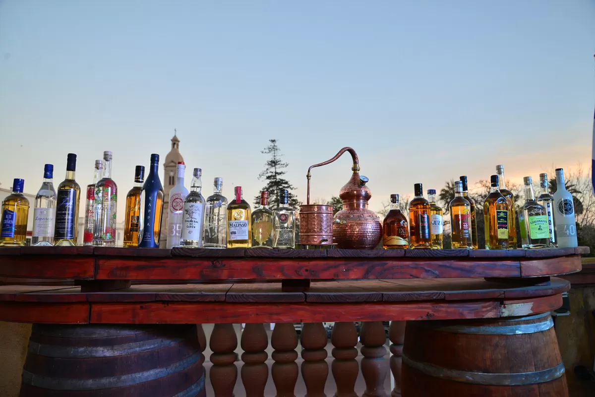 El pisco chileno: historia, calidad y crecimiento