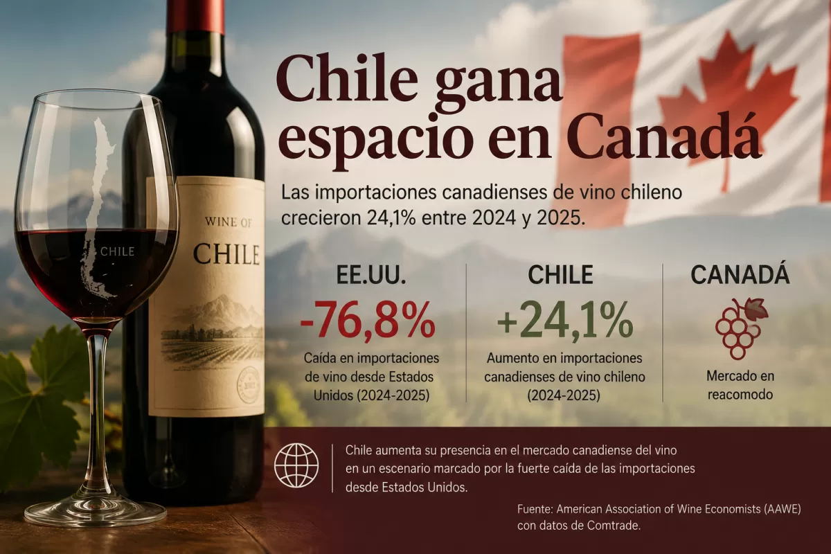 Chile gana espacio en Canadá tras la fuerte caída del vino estadounidense
