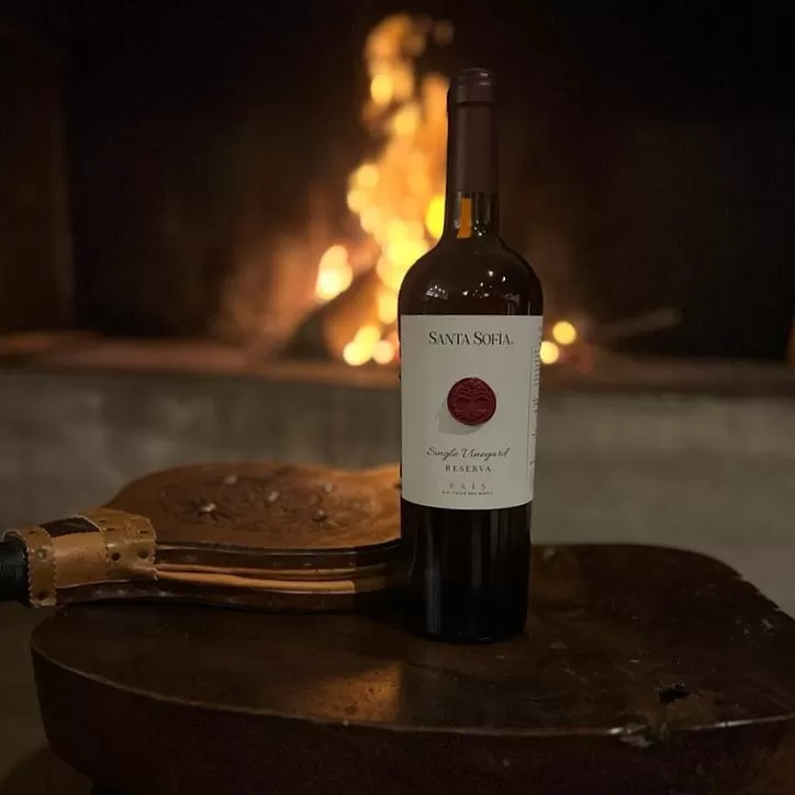 Viña Santa Sofía entrega recomendaciones para disfrutar el vino durante el invierno