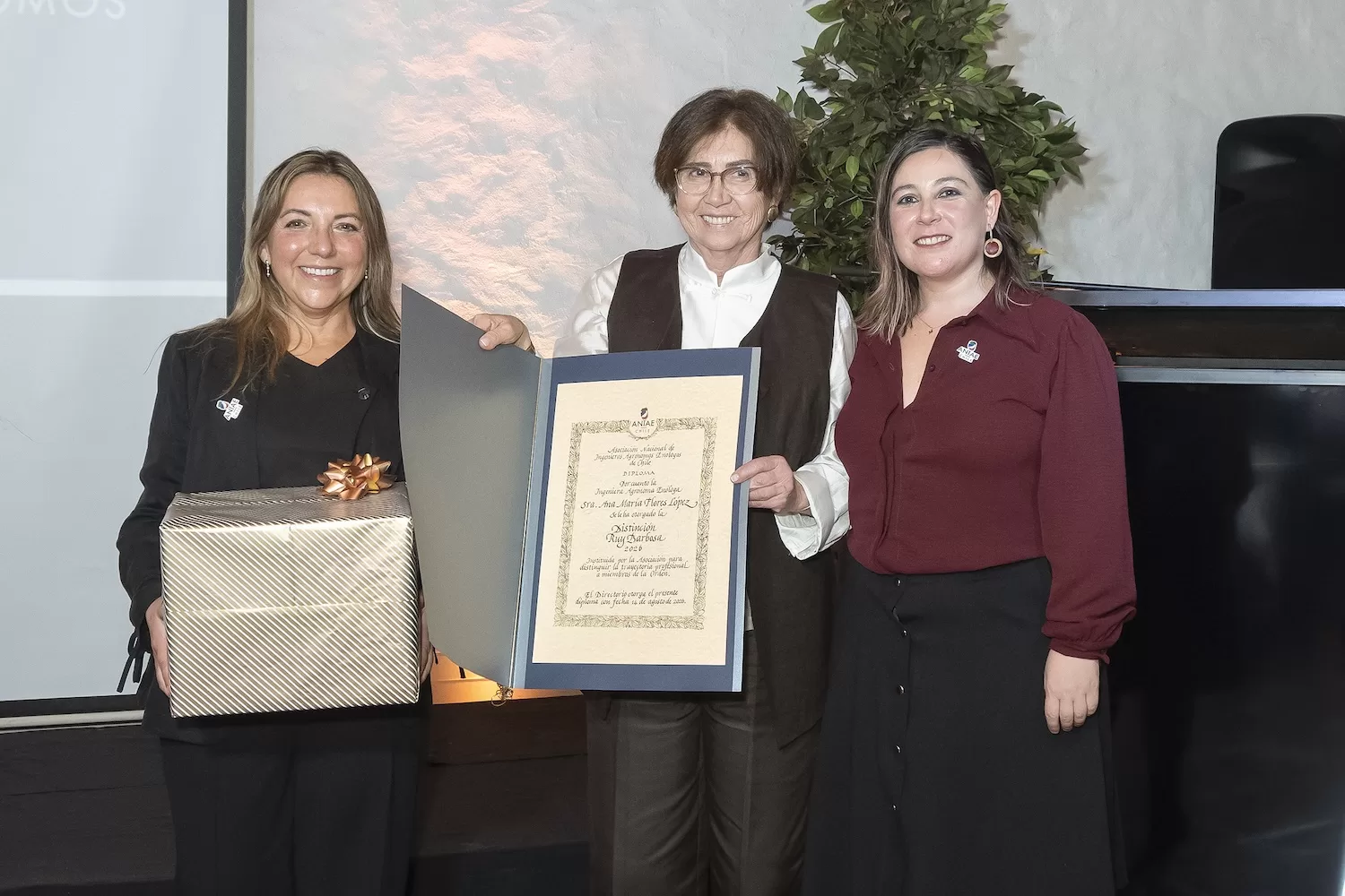 ANIAE celebra sus 72 años y lanza Carmenère al Mundo 2026