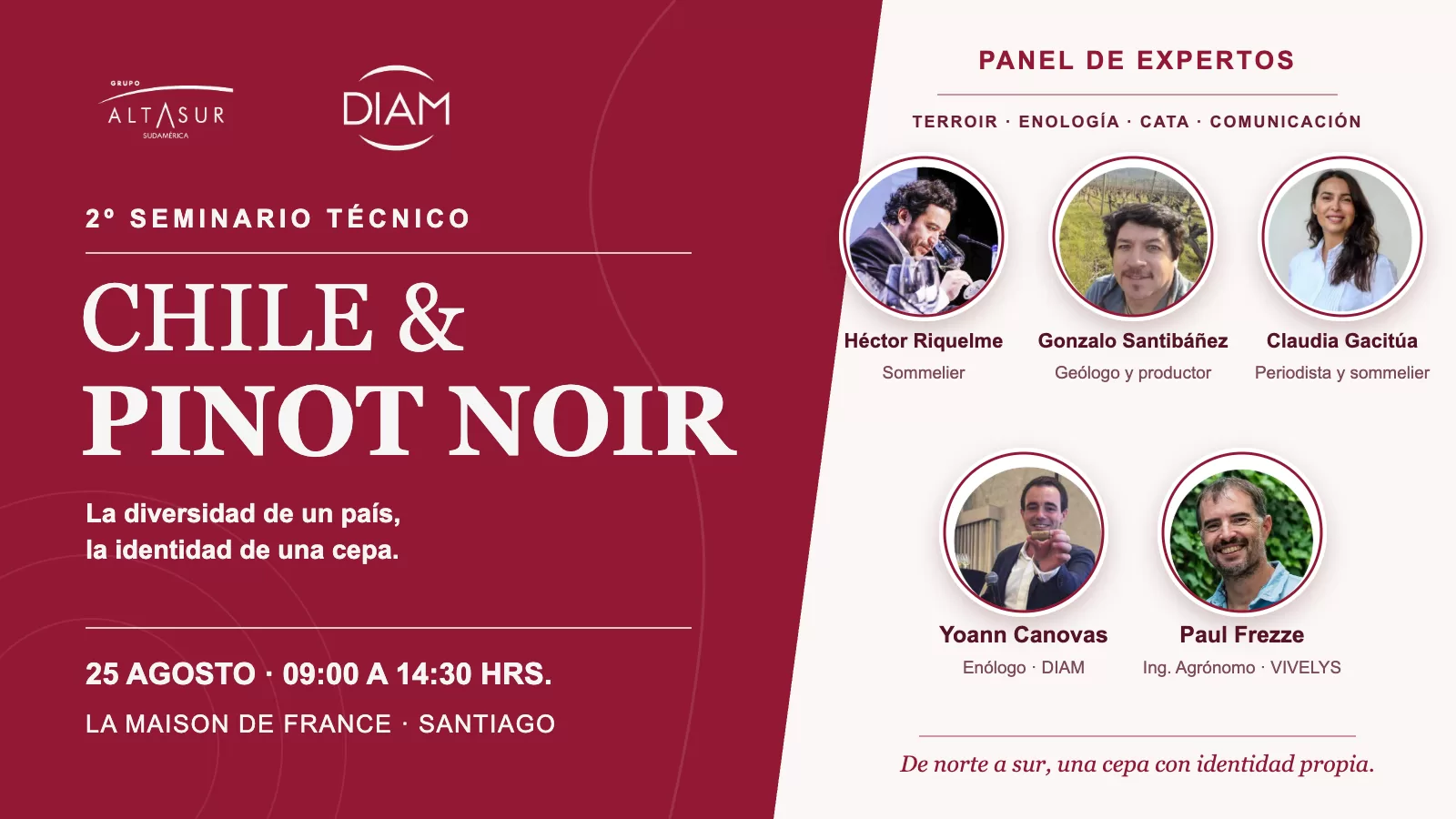 Chile & Pinot Noir: la diversidad de un país, la identidad de una cepa