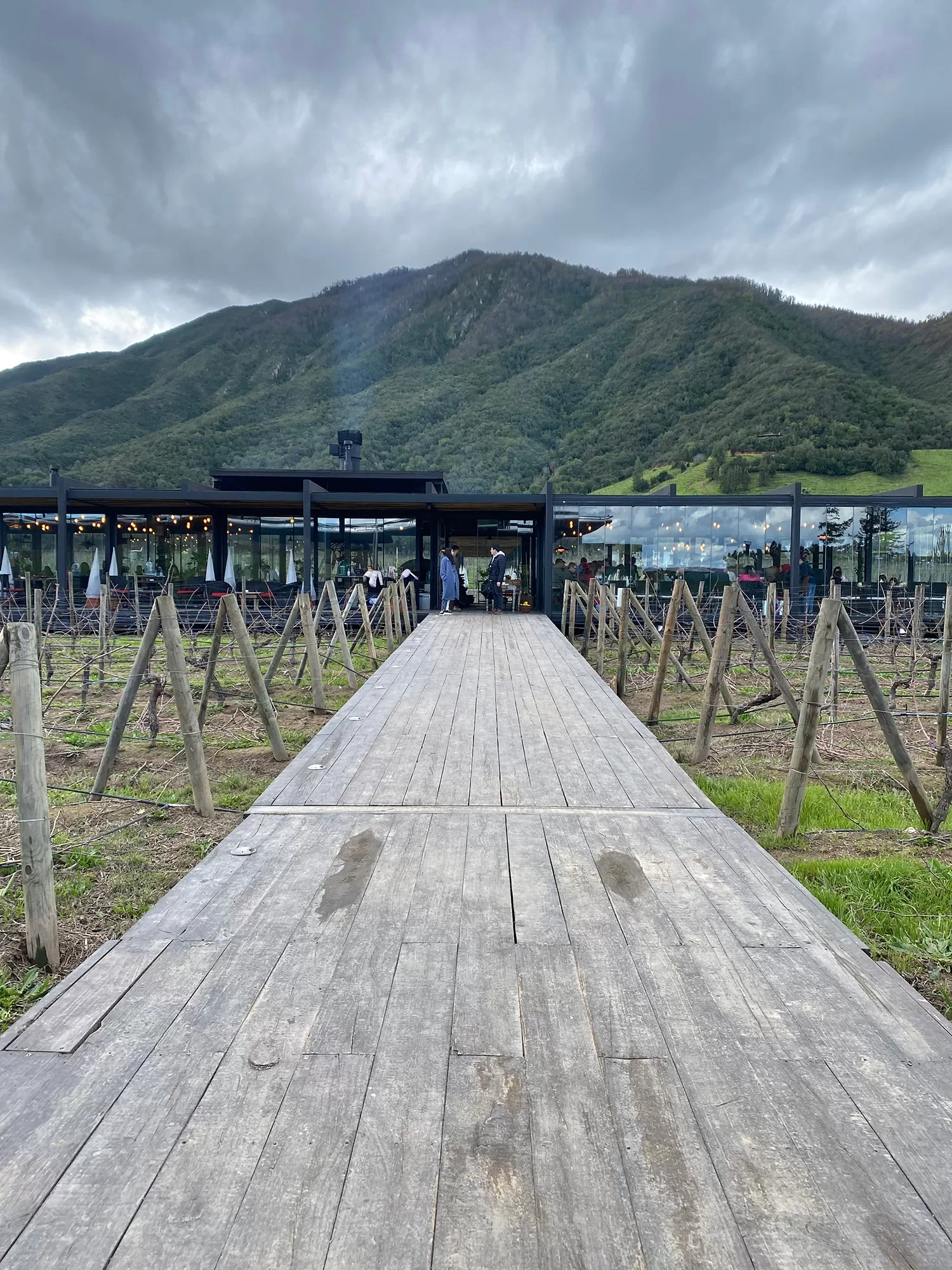 Cámara de Turismo de Colchagua y Viñas de Colchagua reunirán a turoperadores nacionales