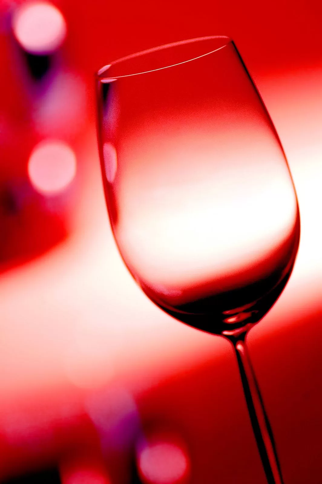Vinos de Chile respalda la categoría de 8,5°: “Este decreto nos alinea con las tendencias mundiales”