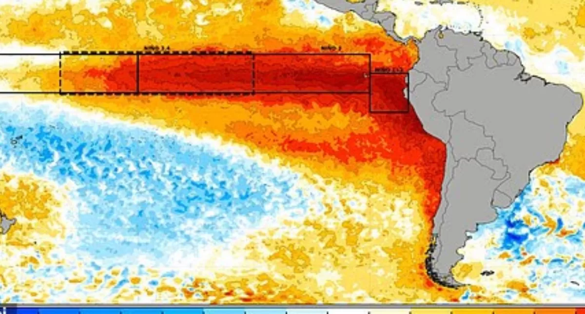 Aguas cálidas avanzan hacia Chile mientras El Niño se fortalece