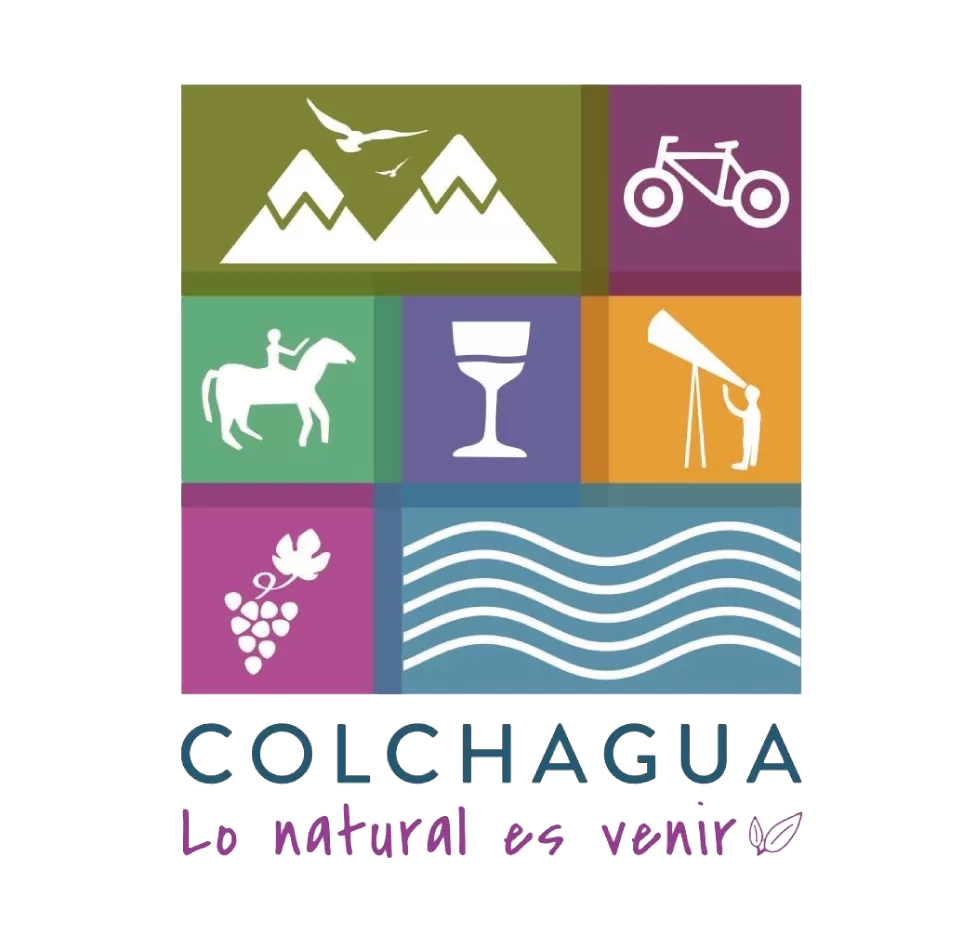 Colchagua abre sus viñas a operadores turísticos de Brasil en un fam tour de tres días