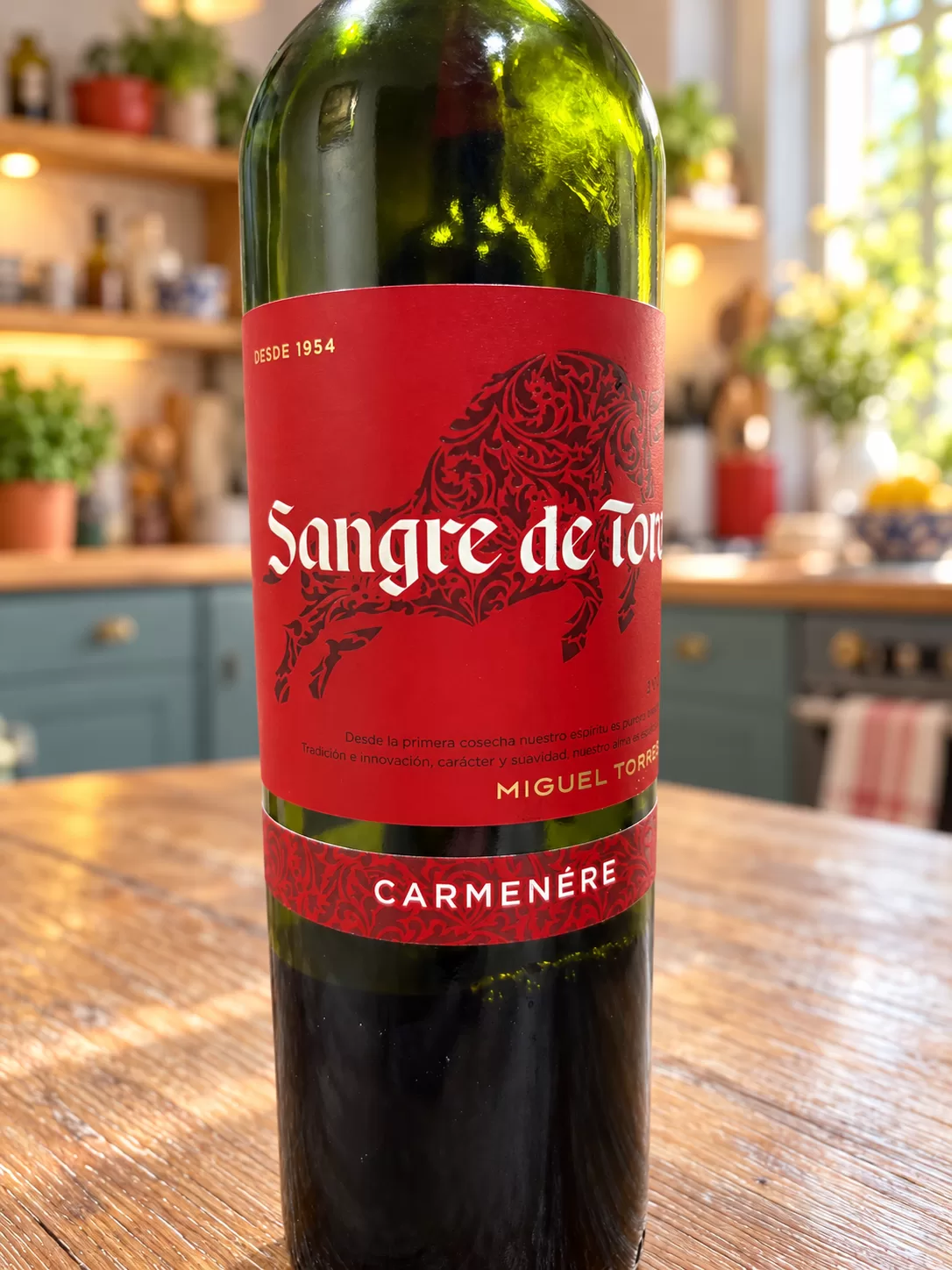 Sangre de Toro: el alma chilena de una nueva historia