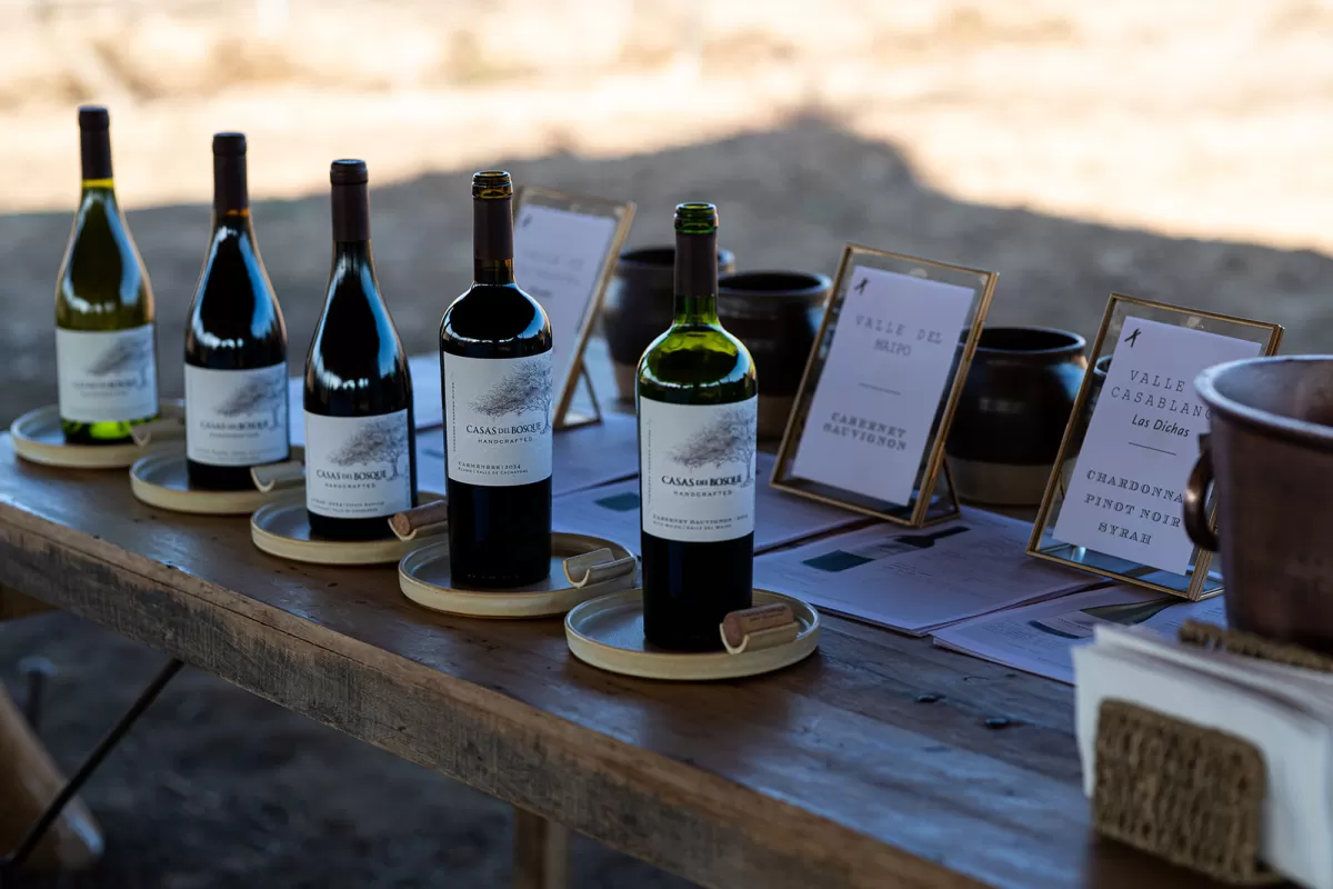 De Gran Reserva a Handcrafted: Viña chilena encuentra su propio lenguaje