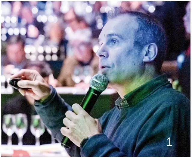 Chardonnay en el Chile contemporáneo: ocho miradas que confirman la diversidad del vino nacional