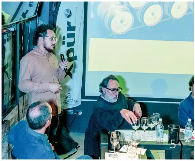 Chardonnay en el Chile contemporáneo: ocho miradas que confirman la diversidad del vino nacional