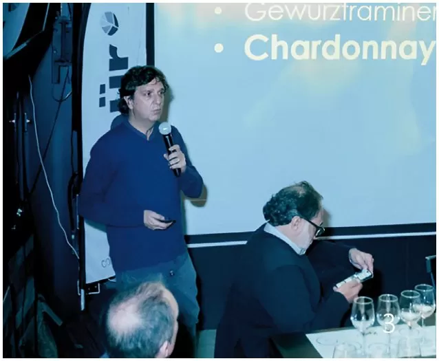 Chardonnay en el Chile contemporáneo: ocho miradas que confirman la diversidad del vino nacional