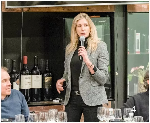 Chardonnay en el Chile contemporáneo: ocho miradas que confirman la diversidad del vino nacional