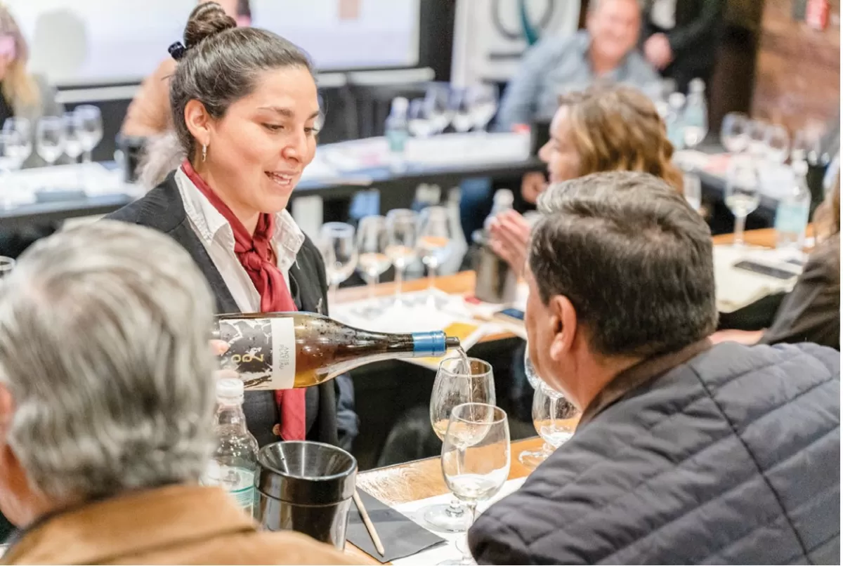 Chardonnay en el Chile contemporáneo: ocho miradas que confirman la diversidad del vino nacional