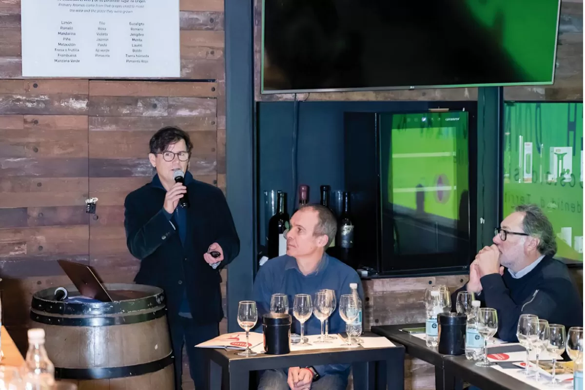 Chardonnay en el Chile contemporáneo: ocho miradas que confirman la diversidad del vino nacional