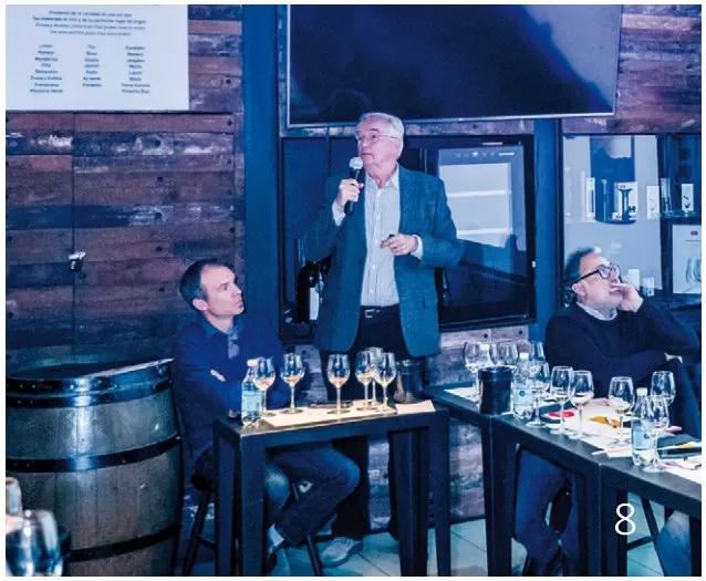 Chardonnay en el Chile contemporáneo: ocho miradas que confirman la diversidad del vino nacional