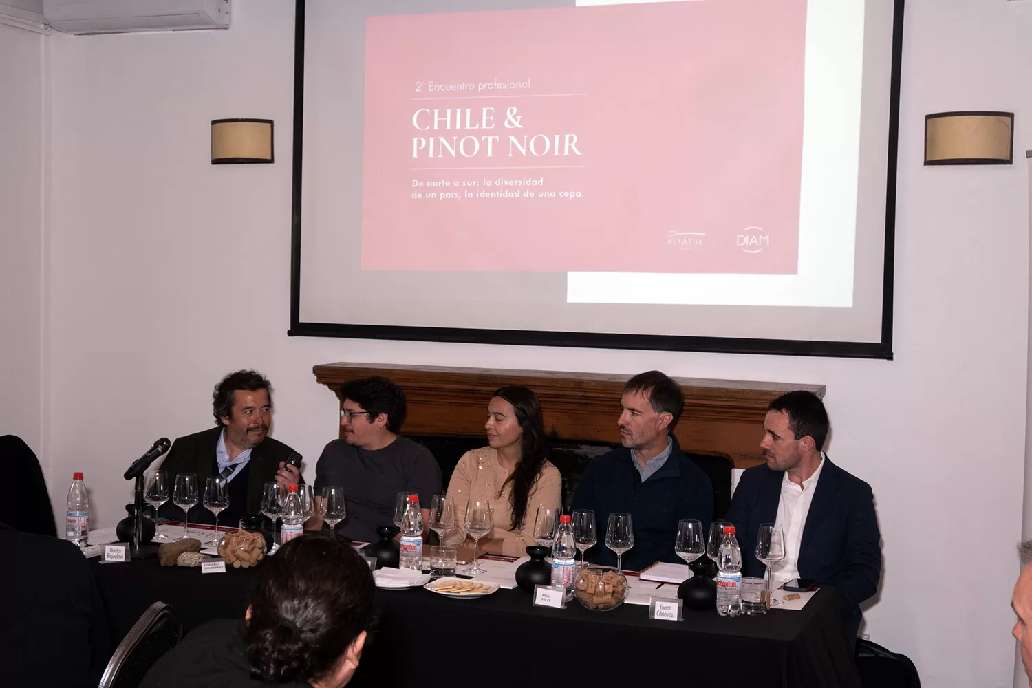 Del suelo a la botella: las decisiones que construyen el Pinot Noir chileno