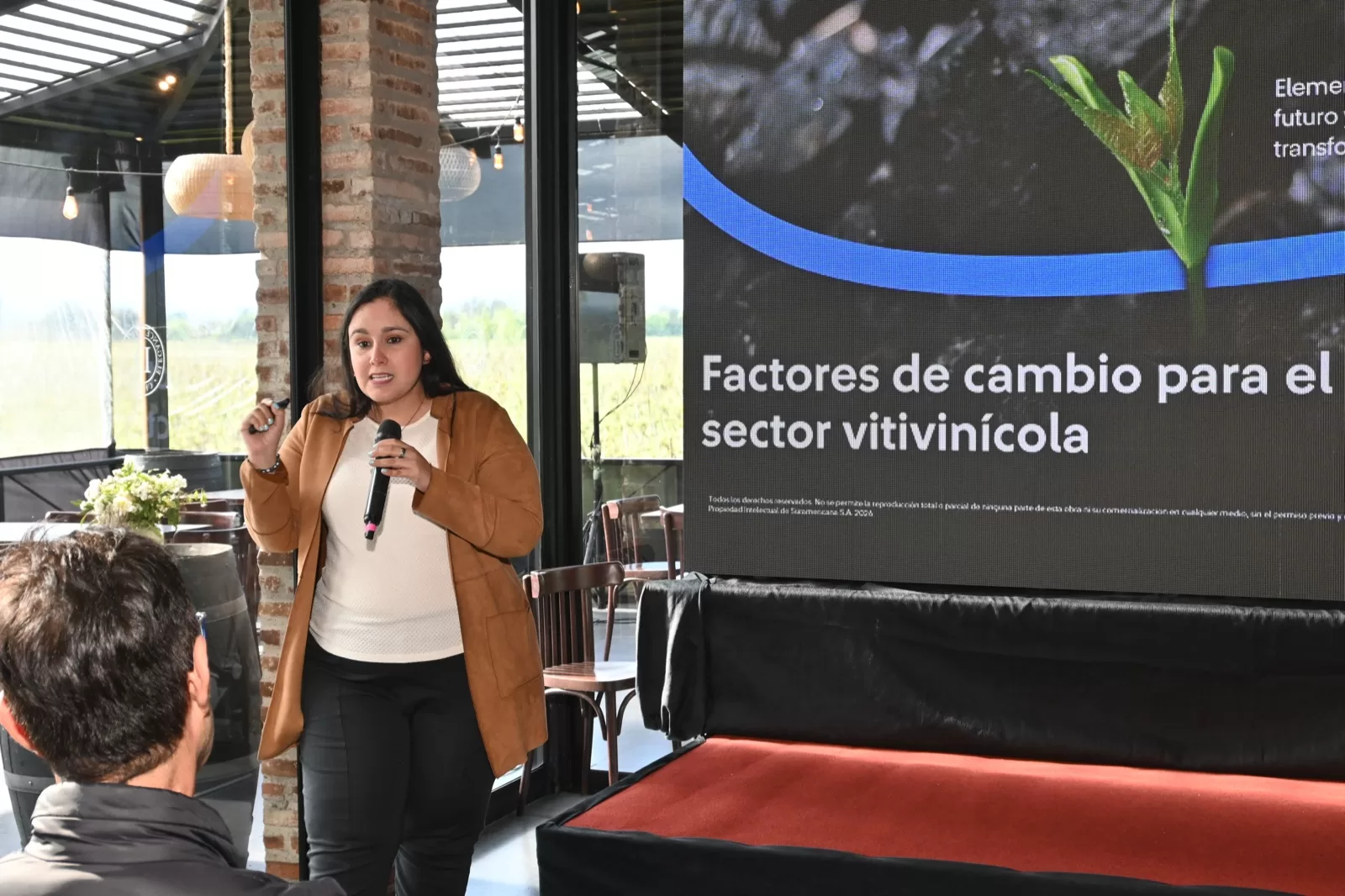 El futuro del vino se cultiva hoy